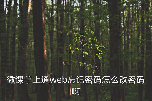 微課掌上通web忘記密碼怎么改密碼啊