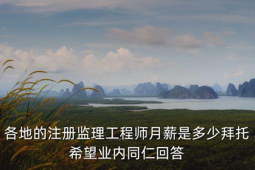 上海市那里招總監理工程師，現在上海做總監理工程師年薪多少