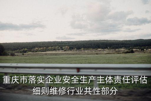 重慶市落實企業安全生產主體責任評估細則維修行業共性部分