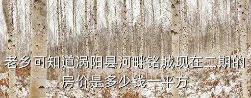 老鄉(xiāng)可知道渦陽縣河畔銘城現(xiàn)在二期的房?jī)r(jià)是多少錢一平方