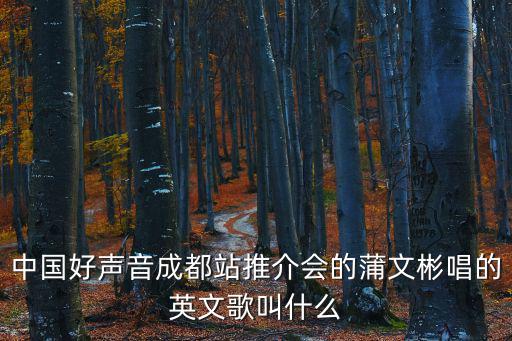 中國好聲音成都站推介會(huì)的蒲文彬唱的英文歌叫什么