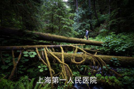 上海第一人民醫(yī)院