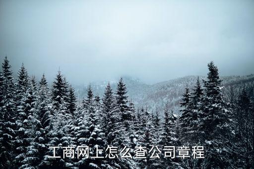 工商網(wǎng)上怎么查公司章程