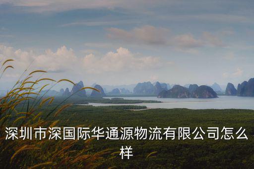 深圳市深通華貿(mào)易有限公司，深圳市深國際華通源物流中心的簡介