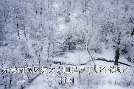 東莞南城區莞太大道是屬于哪個鎮哪個村啊