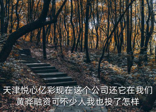 天津悅心億彩現在這個公司還它在我們黃驊融資可不少人我也投了怎樣
