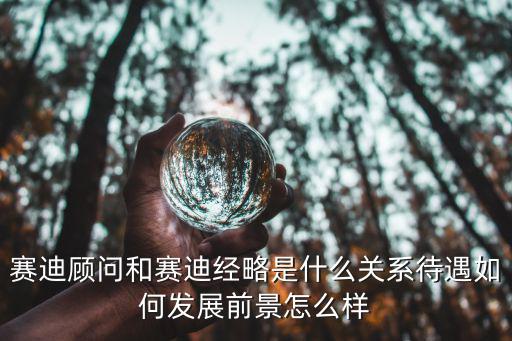 賽迪顧問和賽迪經(jīng)略是什么關(guān)系待遇如何發(fā)展前景怎么樣