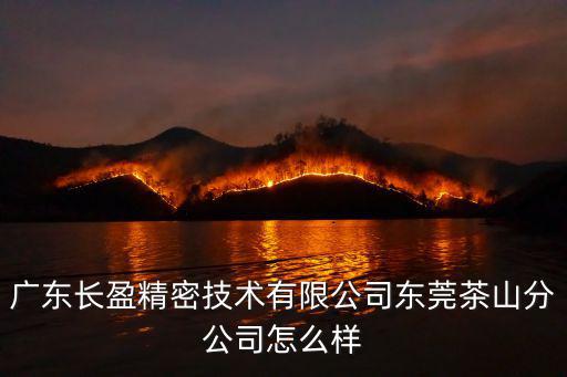 廣東長盈精密技術有限公司東莞茶山分公司怎么樣