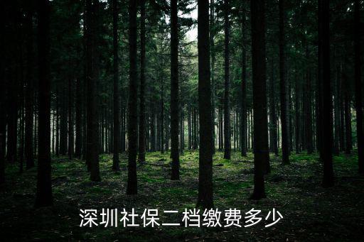 深圳社保二檔繳費(fèi)多少