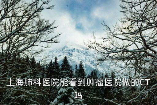 上海肺科醫院能看到腫瘤醫院做的CT嗎