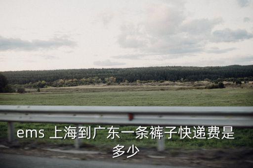 ems 上海到廣東一條褲子快遞費(fèi)是多少