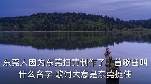 東莞掃S歪歌，東莞人因?yàn)闁|莞掃黃制作了一首歌曲叫什么名字 歌詞大意是東莞挺住