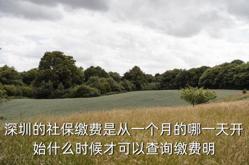深圳的社保繳費(fèi)是從一個(gè)月的哪一天開(kāi)始什么時(shí)候才可以查詢繳費(fèi)明