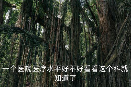 一個(gè)醫(yī)院醫(yī)療水平好不好看看這個(gè)科就知道了