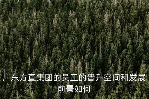 廣東方直集團(tuán)的員工的晉升空間和發(fā)展前景如何