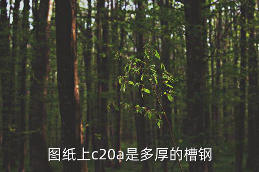 天津市兆博鋼槽鋼合格證圖片，食品合格證是什么紙張做的