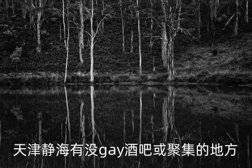 天津市同性男，天津哪的GAY最多