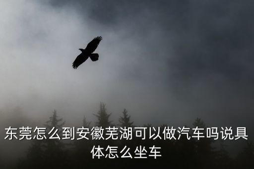 東莞怎么到安徽蕪湖可以做汽車嗎說具體怎么坐車