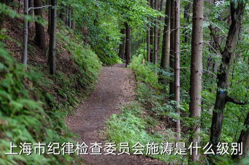 上海市紀(jì)律檢查委員會(huì)施濤是什么級(jí)別