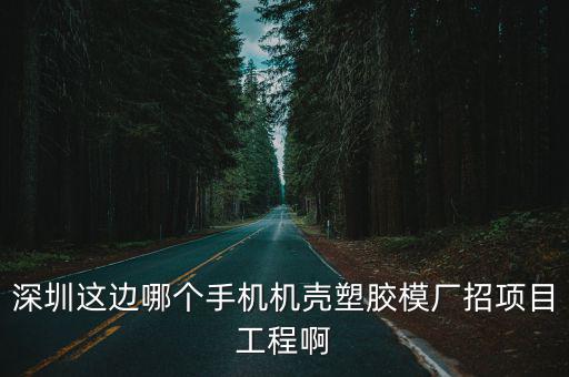 深圳這邊哪個手機機殼塑膠模廠招項目工程啊