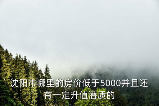沈陽市哪里的房價低于5000并且還有一定升值潛質的