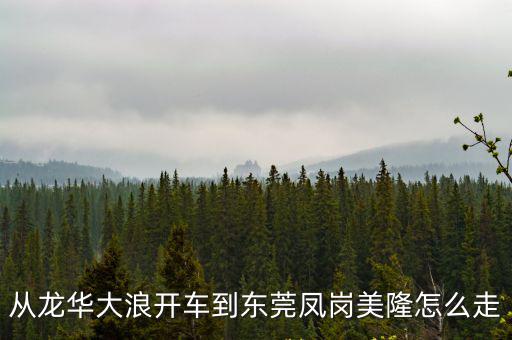 從龍華大浪開車到東莞鳳崗美隆怎么走