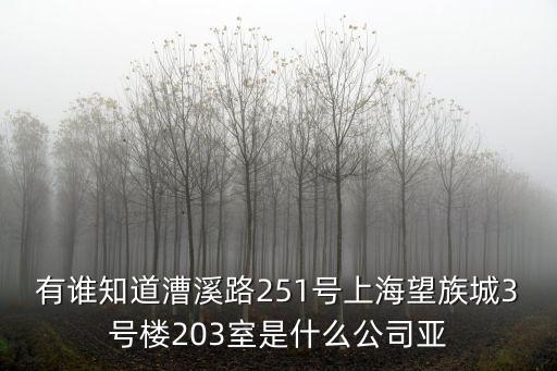 有誰知道漕溪路251號(hào)上海望族城3號(hào)樓203室是什么公司亞