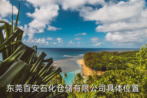 東莞百安石化倉儲有限公司具體位置