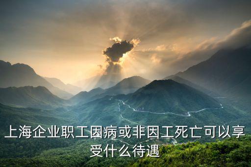 上海企業職工因病或非因工死亡可以享受什么待遇