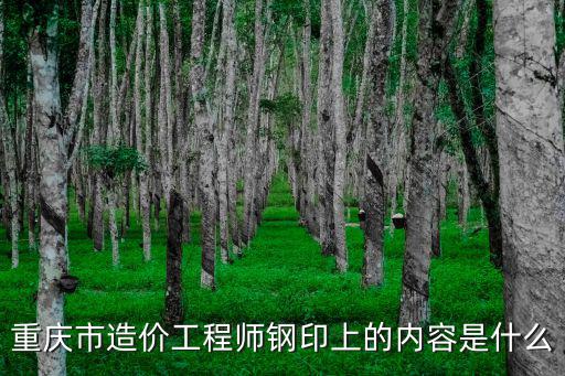 重慶市建委 張其悅，重慶市造價(jià)工程師鋼印上的內(nèi)容是什么