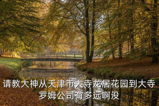請教大神從天津市大寺龍居花園到大寺羅姆公司有多遠啊沒