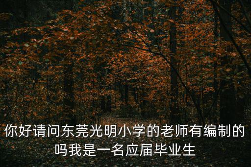 你好請(qǐng)問東莞光明小學(xué)的老師有編制的嗎我是一名應(yīng)屆畢業(yè)生