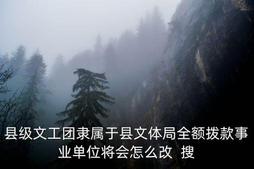 成都市文藝事業(yè)單位改革方案，聽說事業(yè)單位改制是要改成什么樣怎么改有沒有具體的計(jì)劃什么
