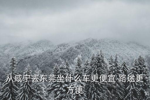 從咸寧去東莞坐什么車更便宜 路途更方便