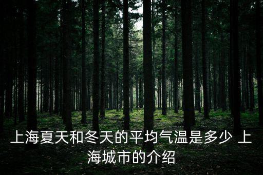 上海夏天和冬天的平均氣溫是多少 上海城市的介紹