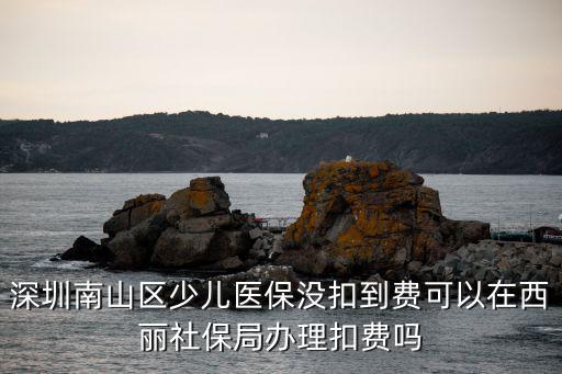 深圳南山區少兒醫保沒扣到費可以在西麗社保局辦理扣費嗎