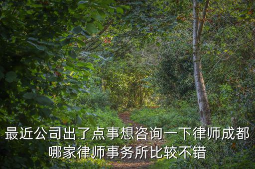 四川省成都市貝樂家新裝材料，最近公司出了點事想咨詢一下律師成都哪家律師事務所比較不錯