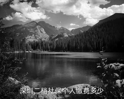 深圳二檔社保個(gè)人繳費(fèi)多少