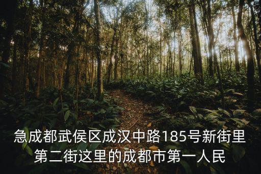 成都市武侯區人民醫院如何，成都 成都武候區人民醫院是三甲醫院嗎