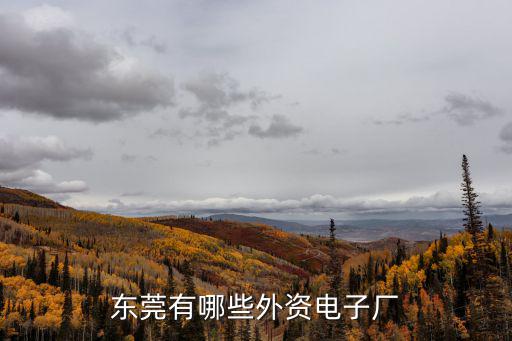 東莞有哪些外資電子廠