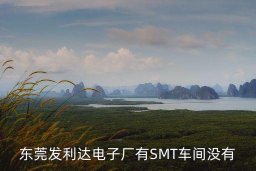 東莞發(fā)利達電子廠有SMT車間沒有