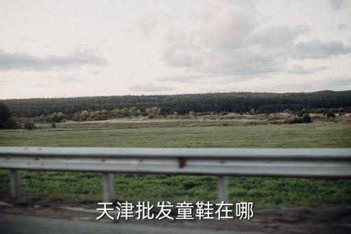 天津批發(fā)童鞋在哪