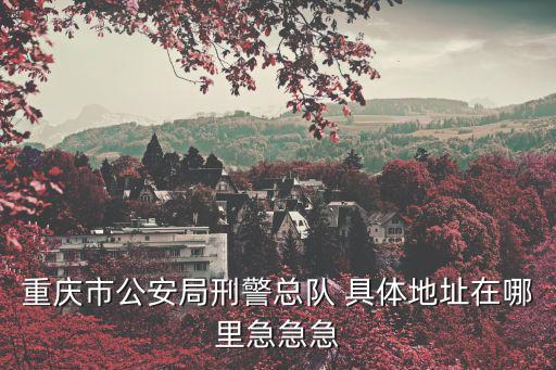 重慶市公安局刑警總隊(duì) 具體地址在哪里急急急