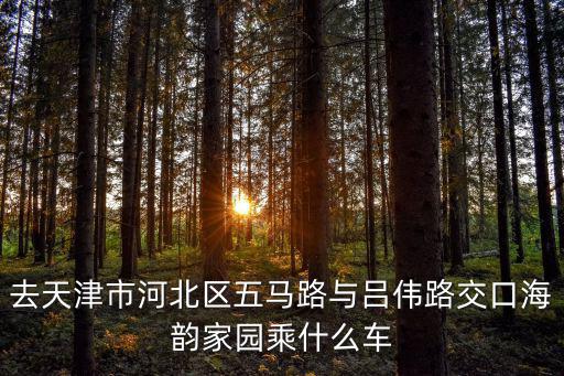 去天津市河北區(qū)五馬路與呂偉路交口海韻家園乘什么車