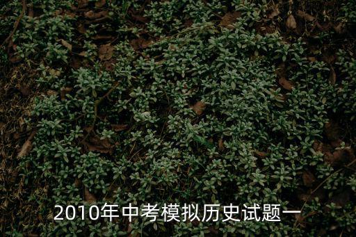 2010年中考模擬歷史試題一