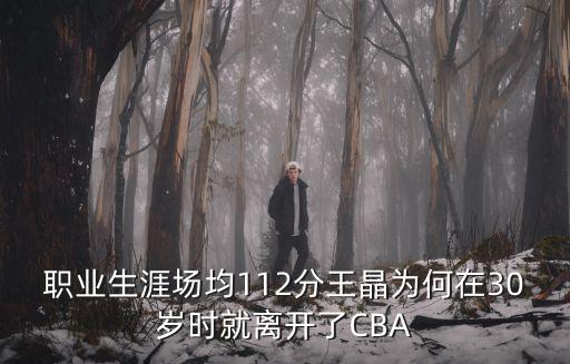 職業生涯場均112分王晶為何在30歲時就離開了CBA