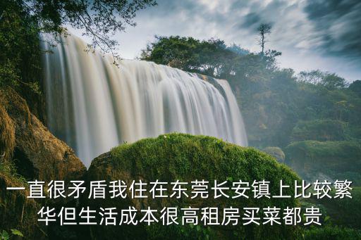 一直很矛盾我住在東莞長安鎮上比較繁華但生活成本很高租房買菜都貴