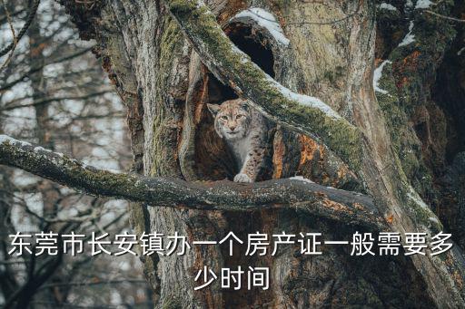 東莞市長(zhǎng)安鎮(zhèn)辦一個(gè)房產(chǎn)證一般需要多少時(shí)間