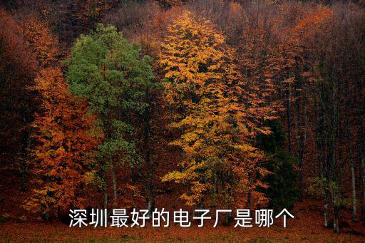 深圳最好的電子廠是哪個