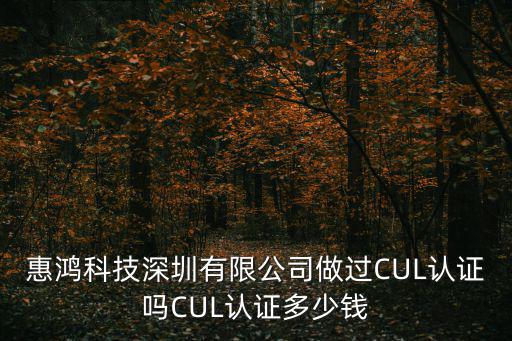 惠鴻科技深圳有限公司做過CUL認(rèn)證嗎CUL認(rèn)證多少錢